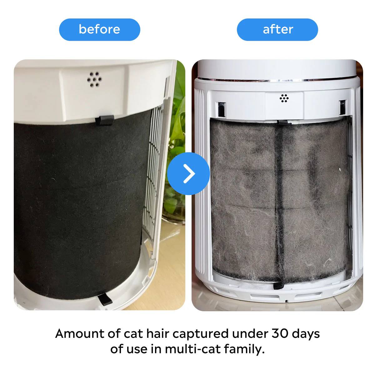 Paw Fresh Air Purifier