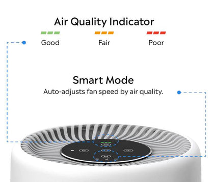 Paw Fresh Air Purifier